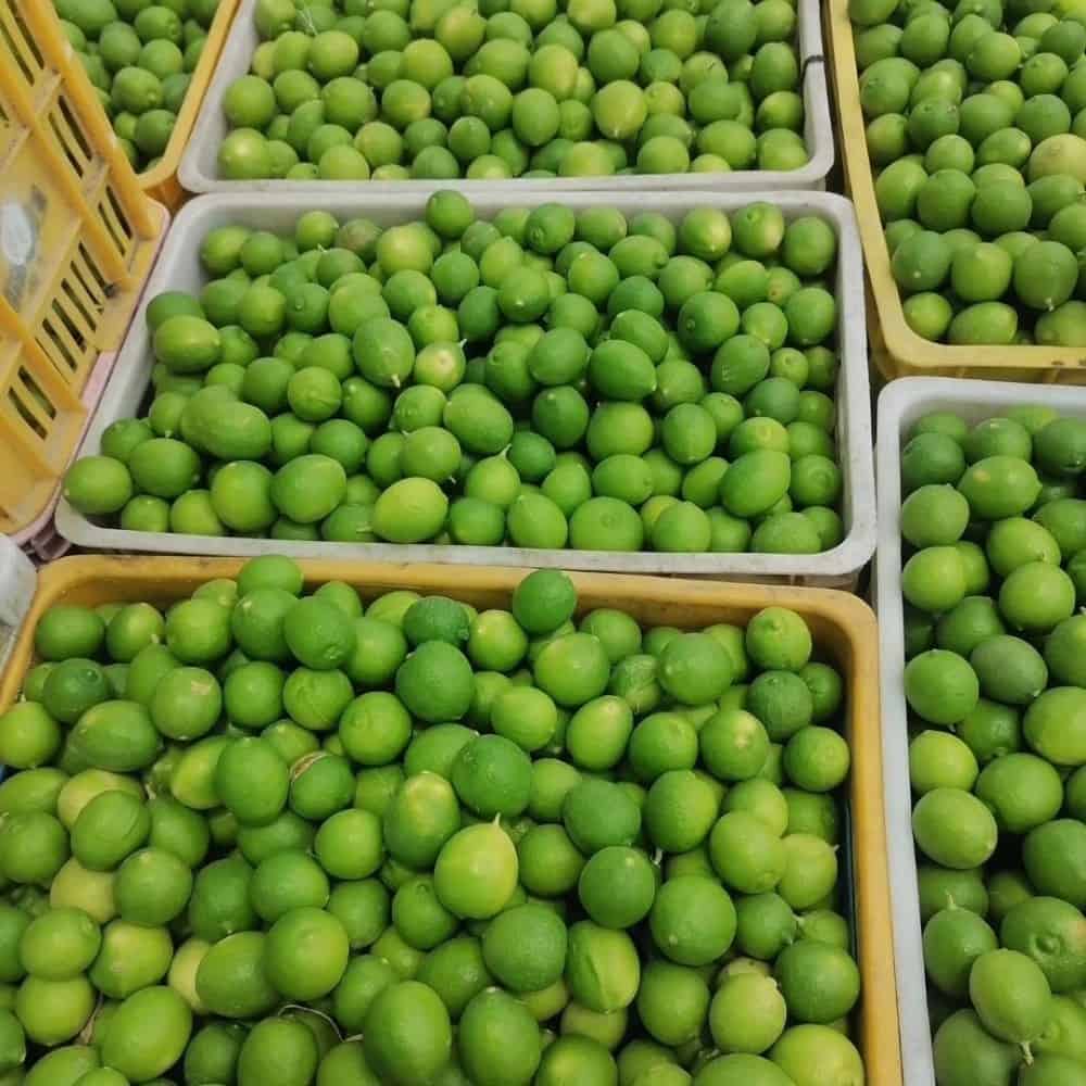 لیموترش
