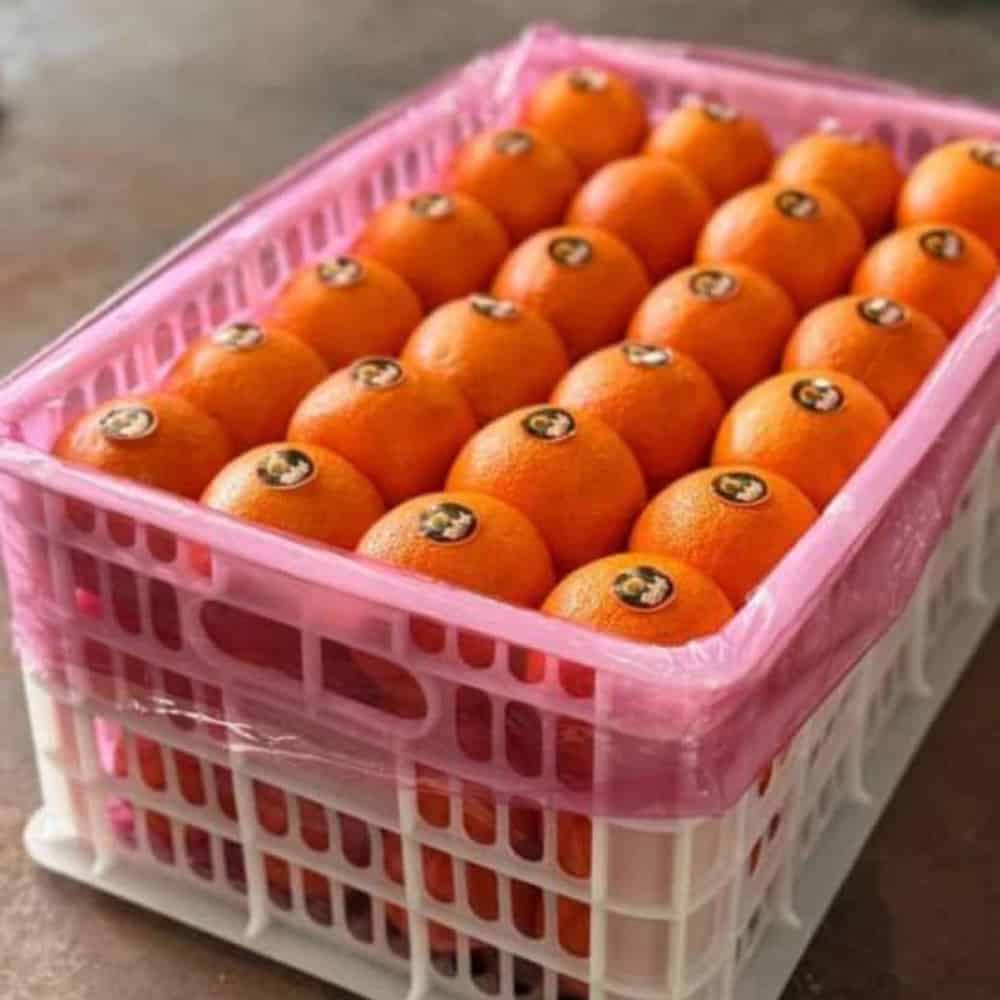 پرتغال