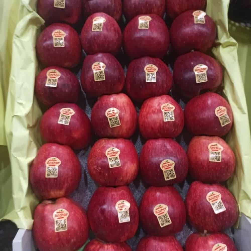 سیب قرمز