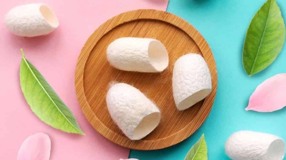 تاریخچه پیله ابریشم