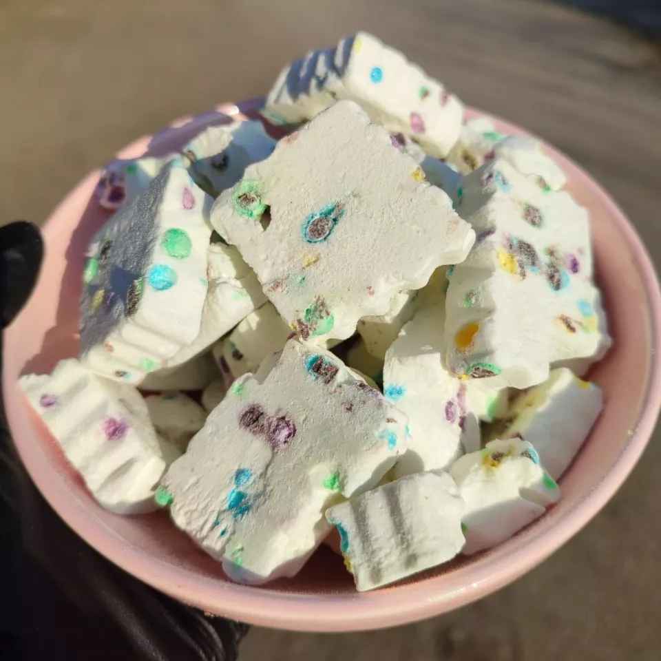 بستنی خشک