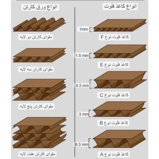 دینا کارتن