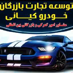 توسعه تجارت بازرگان خودرو کیانی
