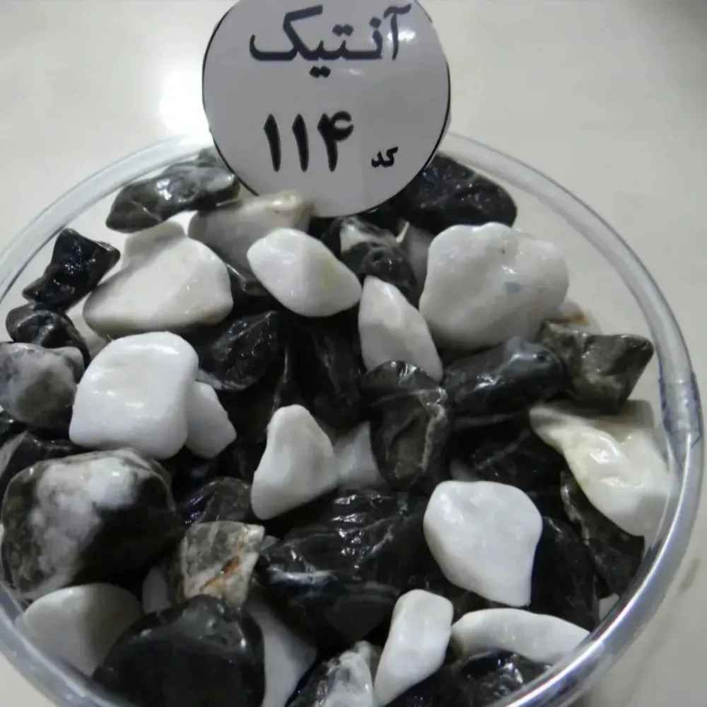 فروشگاه آکواریوم اقیانوس آبی سیرجان