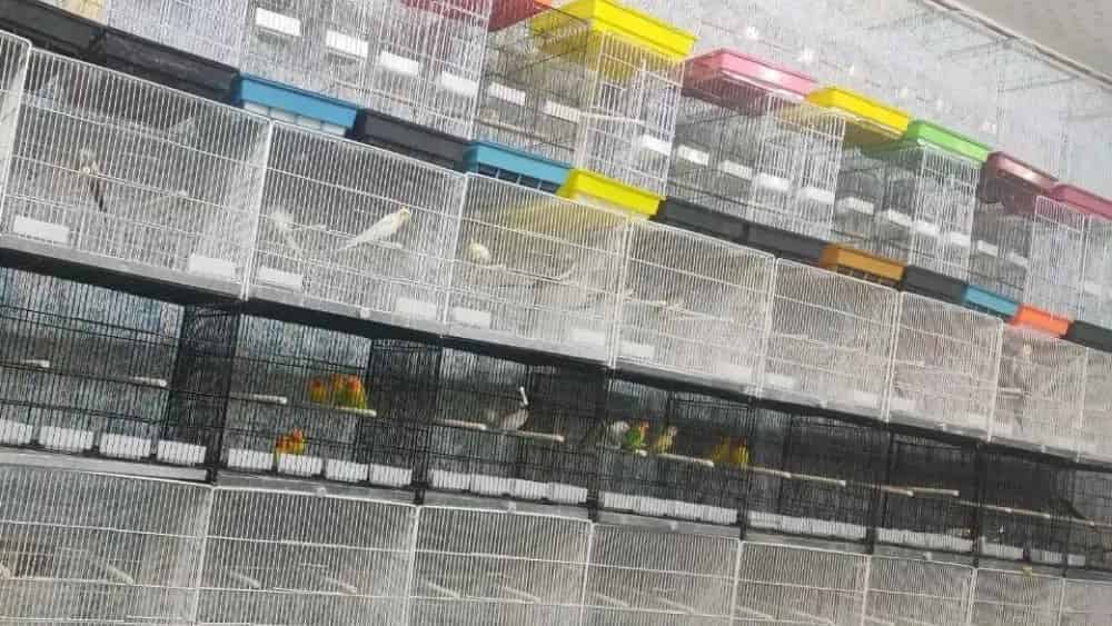 بهترین مرکز فروش قفس کبوتر در جنوب شرق تهران