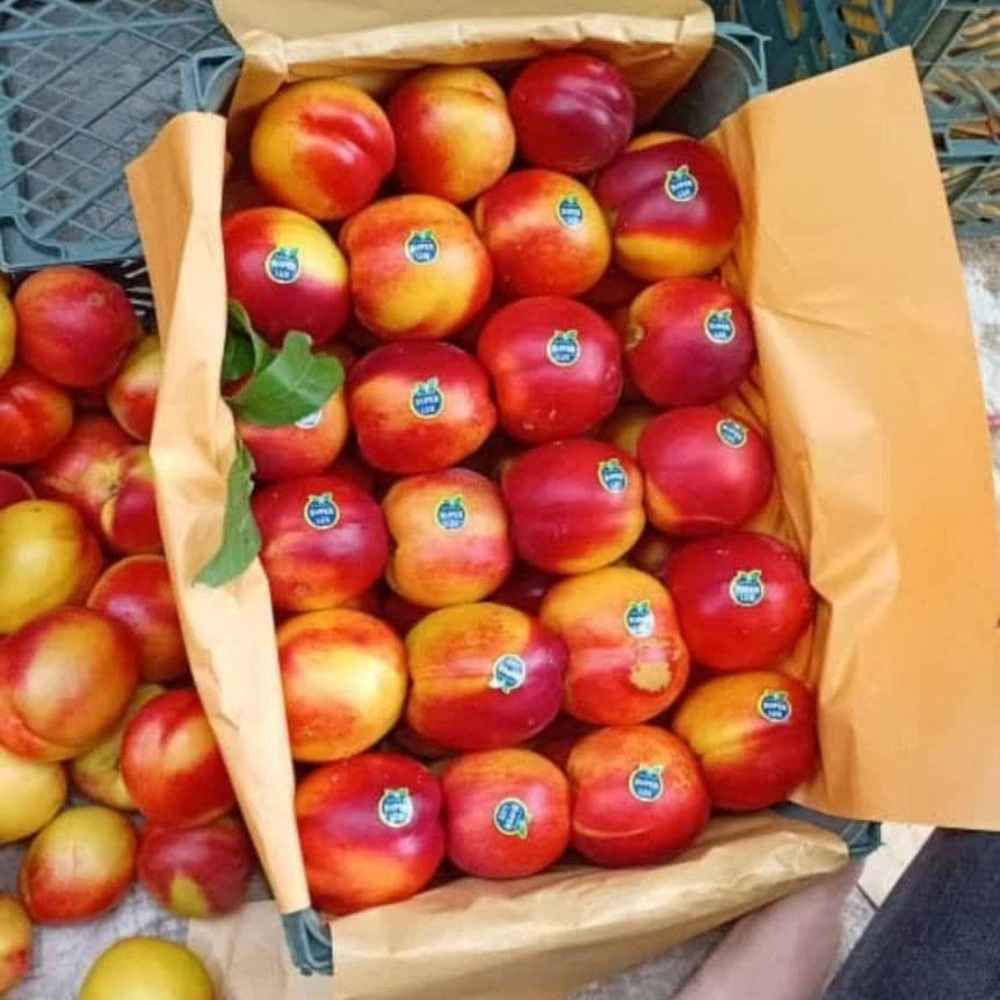 فروش محصولات کشاورزی