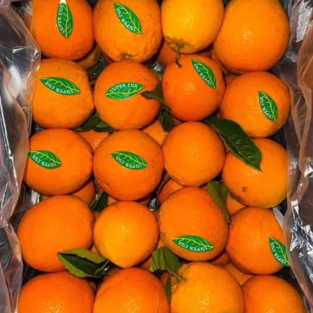 تک آغاج