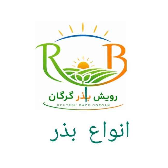 بذر
