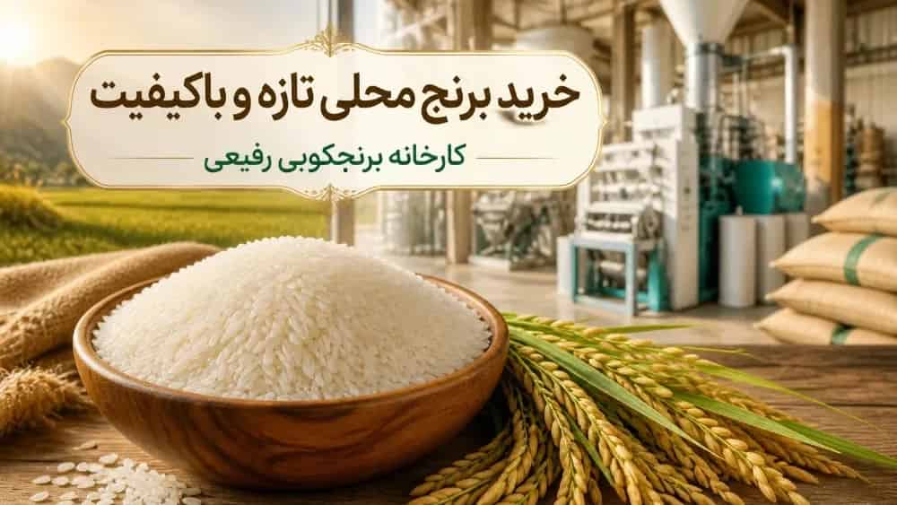 خرید برنج محلی تازه و باکیفیت در لشت نشا