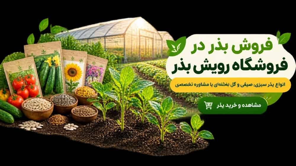مرجع جامع فروش بذر، تکنولوژی‌های بذر و راهنمای خرید بذر مرغوب در فروشگاه رویش بذر