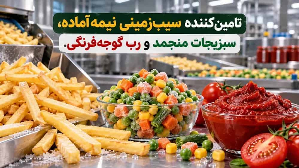 تأمین‌ کننده سیب‌ زمینی نیمه‌ آماده و سبزیجات منجمد و رب گوجه‌ فرنگی