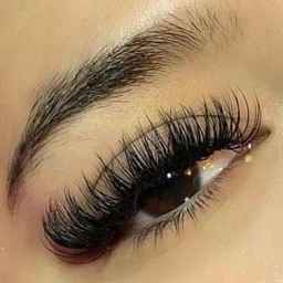 کاشت مژه آزی در رشت