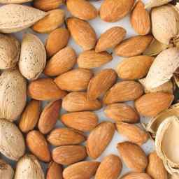 فروش عمده و صادرات بادام درختی بهاءلو در تهران