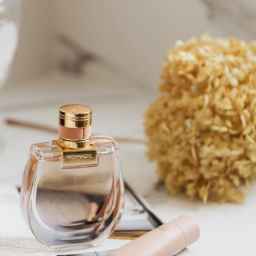 فروشگاه عطر سنجابی ، فروش عطر زنانه و مردانه در کرمانشاه