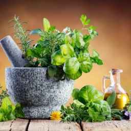 فروش و پخش گیاهان دارویی سید علی میرزایی در گلستان