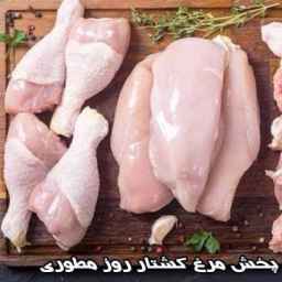 پخش مرغ کشتار روز مطوری در خرمشهر