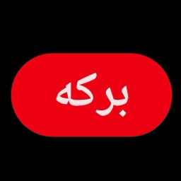 باغ رستوران برکه، انواع غذای ایرانی در اندیمشک