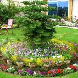 گل و نهال رازقی،طراحی و اجرای فضای سبز ویلا و باغچه در لاهیجان گیلان