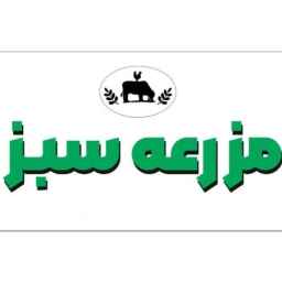 پروتئینی مزرعه سبز در بابل