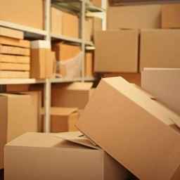 کارتن پلاست، فروش و پخش عمده کارتن بسته بندی در تهران
