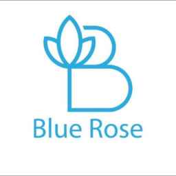 خوشخواب blue rose، تولید خوشخواب طبی و فنری  در اراک