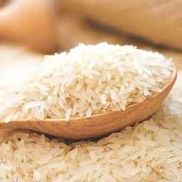 برنج شمال فروش برنج هاشمی طارم در قائمشهر