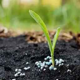 فروشگاه زارع ،فروش عمده کود حیوانی ارگانیک و کود شیمیایی در تهران