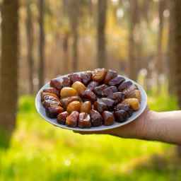خرما پناهی، فروشگاه تخصصی کبکاب در بهبهان
