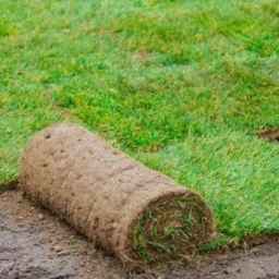 چمن رول پیرزادی، تولید چمن رول طبیعی و اجرای فضای سبز در کرج