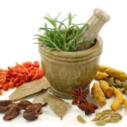 گیاهان دارویی سینا، فروش عمده و صادرات گیاهان دارویی در شهر کرد