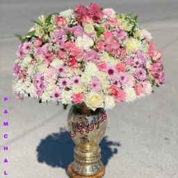 گلسرای پامچال، فروش انواع گل طبیعی و مصنوعی در گچساران کهگیلویه