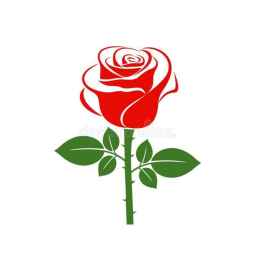 رزا گالری