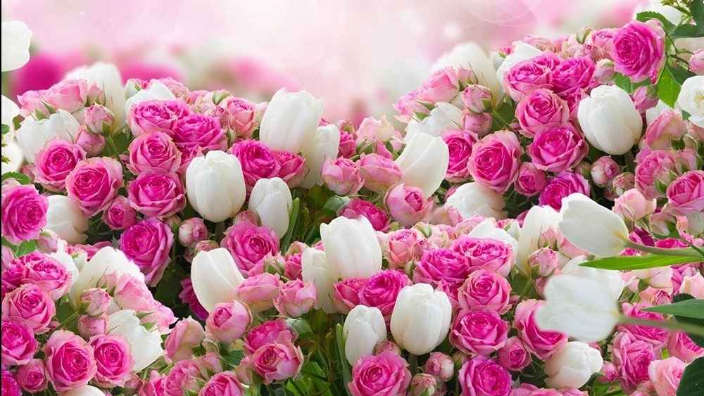 تخفیف ویژه به مناسبت ولنتاین