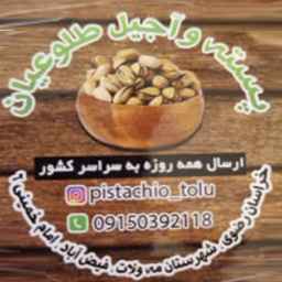 خشکبار طلوعیان