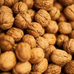 واردات گردو فرجی