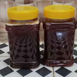 پخش مهدی