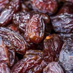 نمایندگی ارگ بم