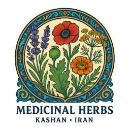 ایلیاگل