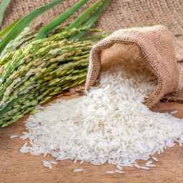 فروشگاه اسبقی