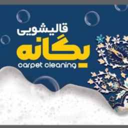 قالیشویی یگانه