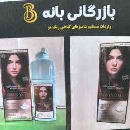 بازرگانی بانه