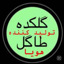 گلکده طاگل