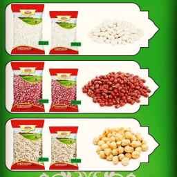 صنایع غذایی نوین اندیشه