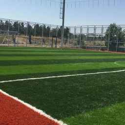 فروشگاه دنیز چمن