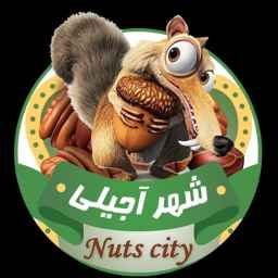 فروشگاه شهر آجیلی
