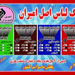 شرکت رنگ آمیز اصل امیران