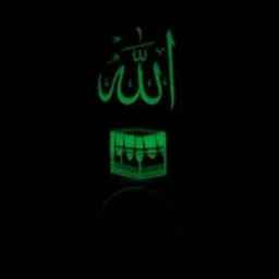 فروشگاه خردمند