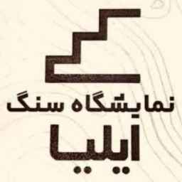 ایلیا استون