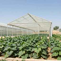 گلخانه سازی رضایی