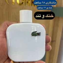 فروشگاه نصف جهان